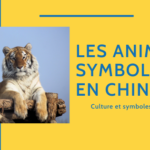 La Signification des Animaux en Chine - Symboles Thumbnail