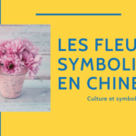 La Signification des Fleurs en Chine 🌺 Thumbnail
