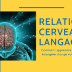 Cerveau et Langage : L'apprentissage d'une langue étrangère change notre cerveau Thumbnail