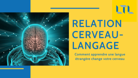 Cerveau et Langage : L'apprentissage d'une langue étrangère change notre cerveau Thumbnail