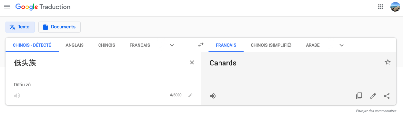 Je t'aime en chinois - Canards