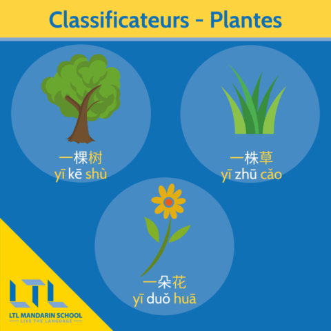 Classificateurs Chinois pour les plantes