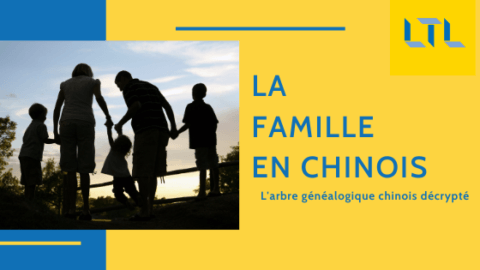 La Famille en Chinois ðŸ�¡ L'Arbre GÃ©nÃ©alogique DÃ©cryptÃ© Thumbnail