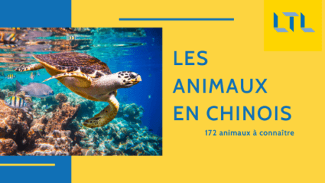 172 Animaux en chinois 🐙 L'Encyclopédie 动物    Thumbnail
