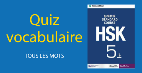 Quiz Vocabulaire HSK 5 (Long) Thumbnail