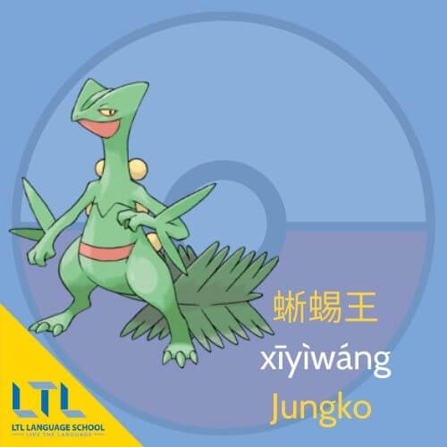 Pokémon en chinois : Jungko