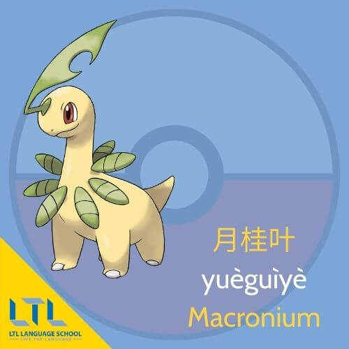 Pokémon en chinois : Macronium