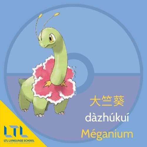 Pokémon en chinois : Méganium