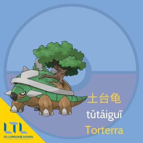 Pokémon en chinois : Torterra