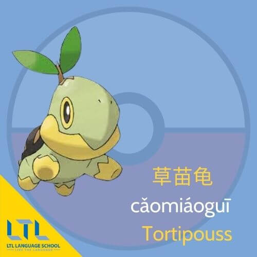 Pokémon en chinois : Tortipouss
