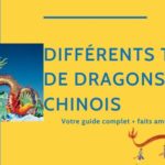 Dragons Chinois 🐉 Découvrez les Différents Types de Dragons Thumbnail
