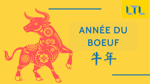 Zodiaques Chinois || Année du Boeuf (Guide Complet) Thumbnail