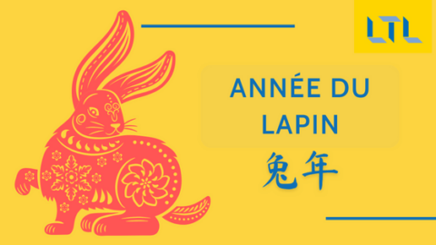 Zodiaque Chinois || Année du Lapin (Guide Complet) Thumbnail