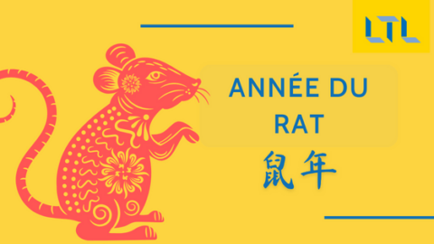 Zodiaque Chinois || Année du Rat (Le Guide Complet) Thumbnail