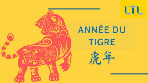Zodiaques Chinois || Année du Tigre (Le Guide Complet) Thumbnail